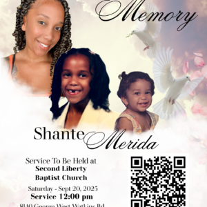 50 Additional Flyers